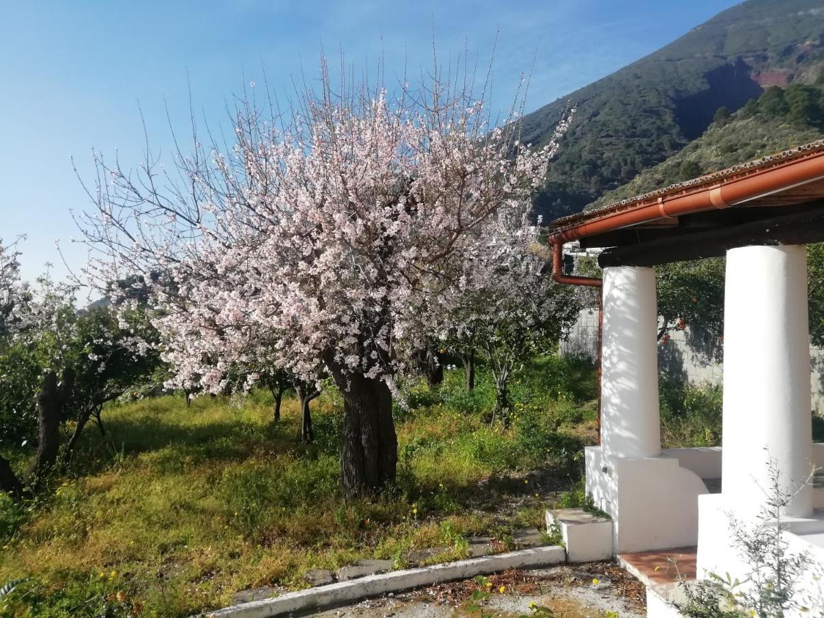산타마리나살리나 Da Marusca 아파트 외부 사진